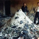 20. YÜZYIL SONUNUN VANDALLARI