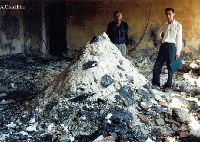 20. YÜZYIL SONUNUN VANDALLARI