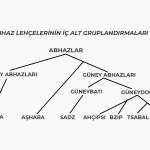 ABHAZ-ABAZA LEHÇE BİLİMİ VE PROTO-ABHAZ SESBİRİMSEL SİSTEMİNİN YENİDEN YAPILANDIRILMASI
