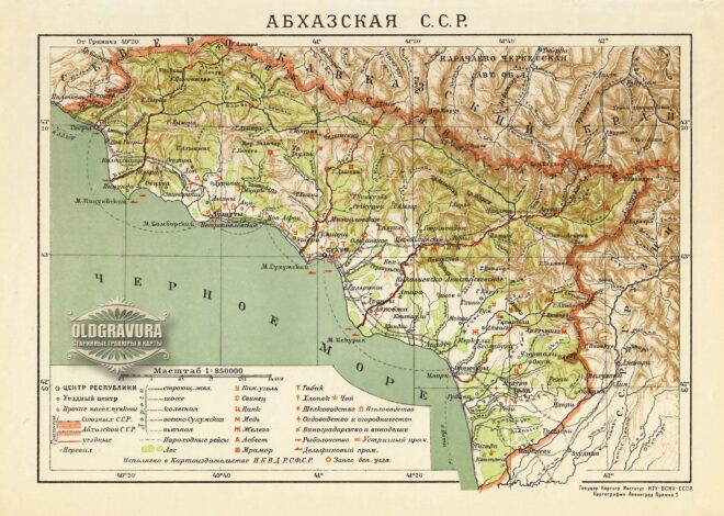 ALMAN BİLİM ADAMLARININ ARAŞTIRMALARI VE 1920-1930’LU YILLARDA ABHAZYA’NIN SİYASİ TARİHİNİN BAZI YÖNLERİ HAKKINDA 