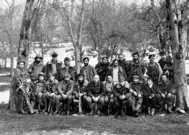 Gürcistan-Abhazya Savaşı (14 Ağustos 1992 – 30 Eylül 1993) Askeri Harekatların Kısa Bir Özeti